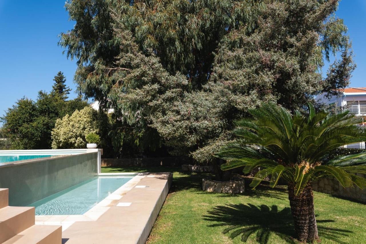 Cedar Tree Villa Kounoupidhiana Exterior photo